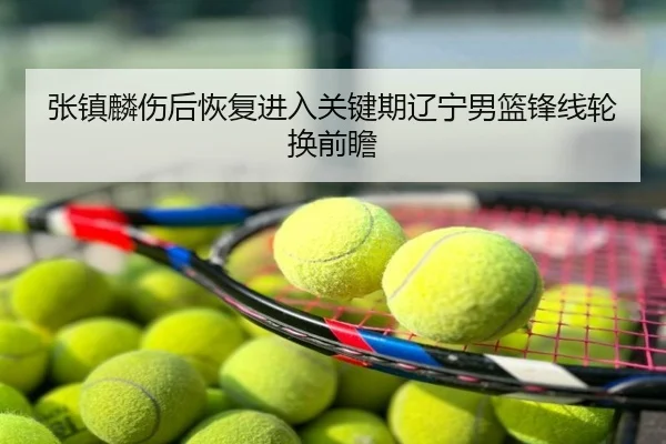 张镇麟伤后恢复进入关键期辽宁男篮锋线轮换前瞻