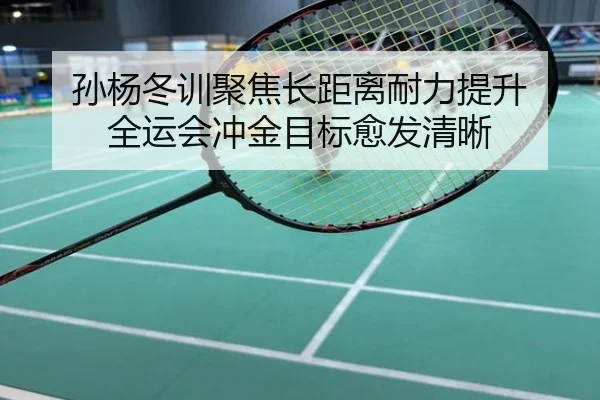 孙杨冬训聚焦长距离耐力提升 全运会冲金目标愈发清晰